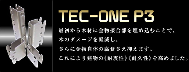 TEC-ONE P3