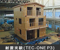 耐震実験（TEC-ONE P3）